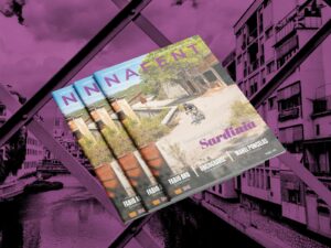 Nafent Magazine volume 16