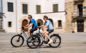 Niche Mobility Nafent