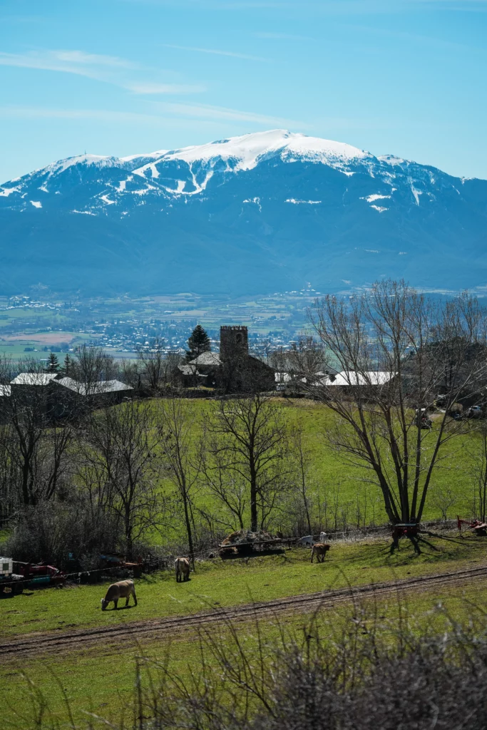 Grava Lybica Llivia