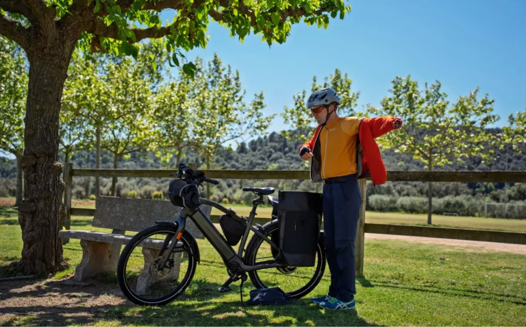 SKS Germany Nafent Bikepacking